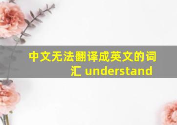 中文无法翻译成英文的词汇 understand